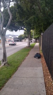 Homeless sleeping next to the street